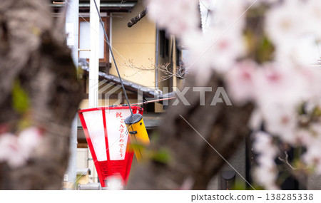 鄉村櫻花節的寧靜景象，燈籠高掛，向學生們送上「祝賀入學」的祝福。 138285338
