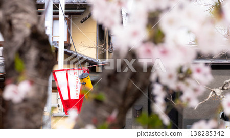鄉村櫻花節的寧靜景象,燈籠高掛,向學生們送上「祝賀入學」的祝福。 鄉村櫻花節的寧靜景象,燈籠高掛,向學生們送上「祝賀入學」的祝福。 138285342
