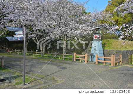 西尾市歷史公園的櫻花 138285408