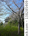Cherry blossoms at Nishio-shi Historical Park 138285409
