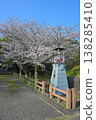 Cherry blossoms at Nishio-shi Historical Park 138285410