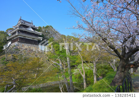 Cherry blossoms at Nishio-shi Historical Park 138285411