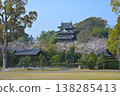 Cherry blossoms at Nishio-shi Historical Park 138285413