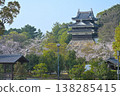 Cherry blossoms at Nishio-shi Historical Park 138285415