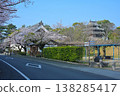 Cherry blossoms at Nishio-shi Historical Park 138285417