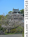 Cherry blossoms at Nishio-shi Historical Park 138285418