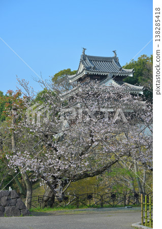 Cherry blossoms at Nishio-shi Historical Park Cherry blossoms at Nishio-shi Historical Park 138285418