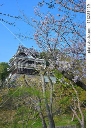 西尾市歷史公園的櫻花 西尾市歷史公園的櫻花 138285419