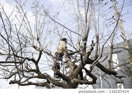 A gardener who prunes garden trees 138285424