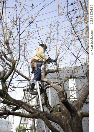 A gardener who prunes garden trees A gardener who prunes garden trees 138285425