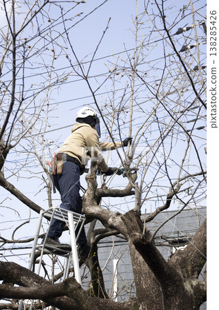 A gardener who prunes garden trees A gardener who prunes garden trees 138285426