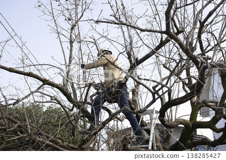 A gardener who prunes garden trees 138285427