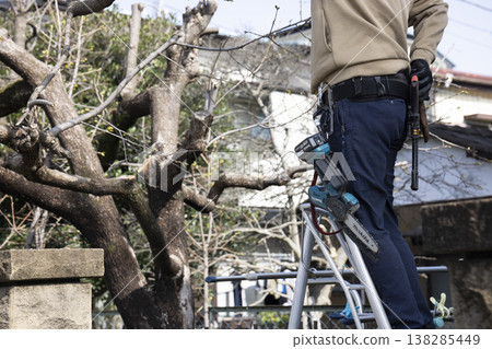 A gardener who prunes garden trees 138285449