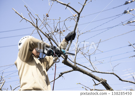 A gardener who prunes garden trees A gardener who prunes garden trees 138285450