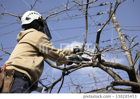 A gardener who prunes garden trees A gardener who prunes garden trees 138285453