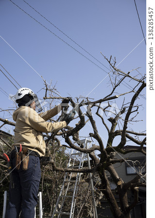 A gardener who prunes garden trees A gardener who prunes garden trees 138285457