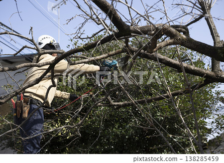 A gardener who prunes garden trees 138285459