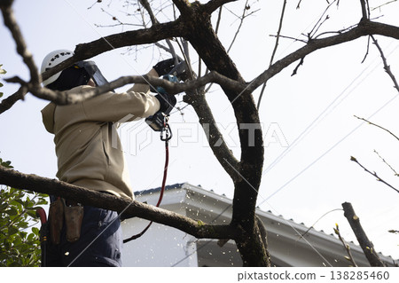 A gardener who prunes garden trees A gardener who prunes garden trees 138285460