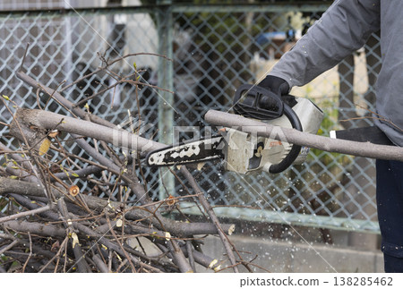 修剪花園樹木的園丁 138285462