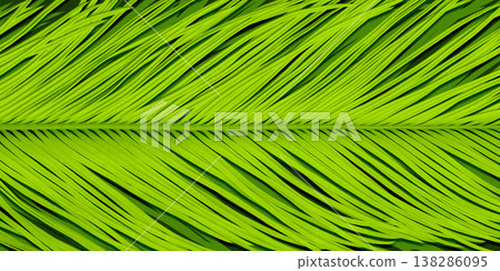 Beautiful, natural silhouettes of tropical cycad leaves. 138286095
