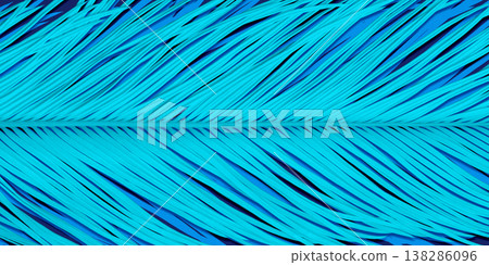 熱帶蘇鐵葉片的美麗自然輪廓。 138286096