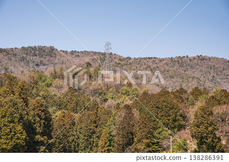 Forest scenery of Kitakomatsu, Otsu City, Shiga Prefecture 138286391