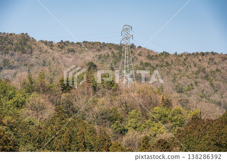 Forest scenery of Kitakomatsu, Otsu City, Shiga Prefecture 138286392