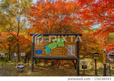Takadoya Wetlands in Toyota City (Aichi Prefecture) Takadoya Wetlands in Toyota City (Aichi Prefecture) 138286443