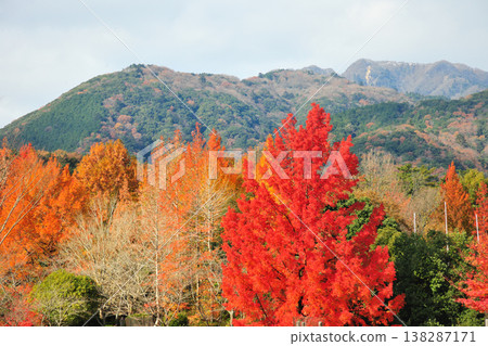 三重縣立森林 三重縣立森林 138287171