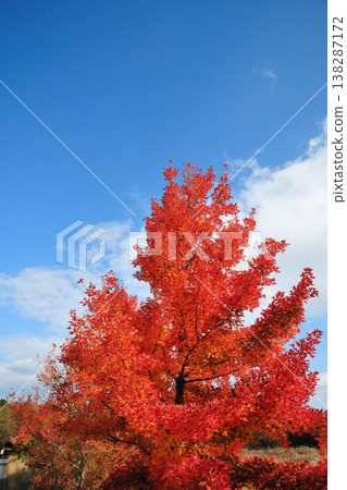 Mie Prefectural Forest Mie Prefectural Forest 138287172