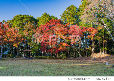 View of the ruins of Futamata Castle in Hamamatsu City (Shizuoka Prefecture) View of the ruins of Futamata Castle in Hamamatsu City (Shizuoka Prefecture) 138287178