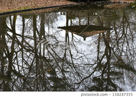 Trees and gazebo reflected in the pond 138287355