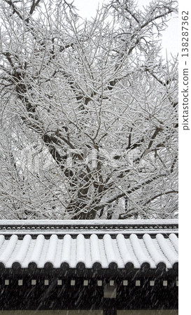 Snow-covered temple roof and large trees Snow-covered temple roof and large trees 138287362
