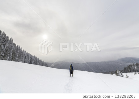 Back view of tourist hiker in warm clothing with backpack walking upward mountains covered with snow on spruce forest and cloudy sky copy space background. Back view of tourist hiker in warm clothing with backpack walking upward mountains covered with snow on spruce forest and cloudy sky copy space background. 138288203