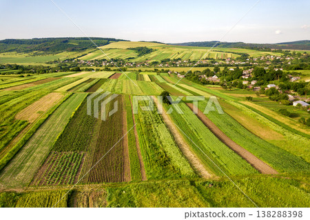 Aerial view of green agricultural fields in spring with fresh vegetation after seeding season on a warm sunny day. Aerial view of green agricultural fields in spring with fresh vegetation after seeding season on a warm sunny day. 138288398