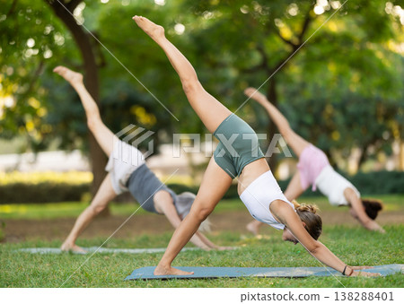 Young woman performing Three Legged Downward Facing Dog Pose in park 138288401