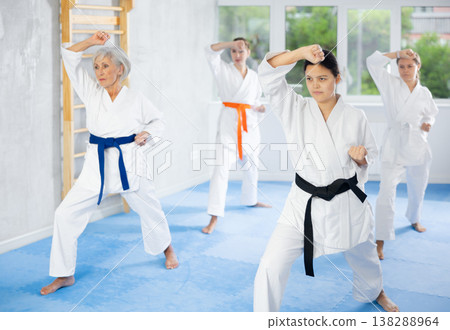 Female martial arts instructor leading karate kata training for group Female martial arts instructor leading karate kata training for group 138288964