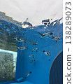 飛企鵝 138289073