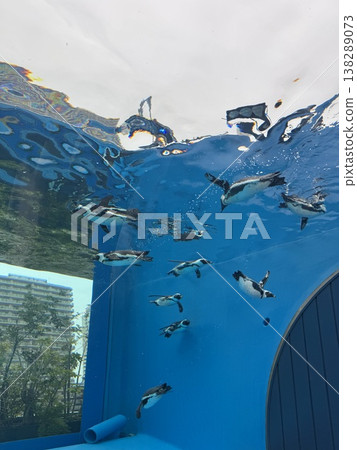 飛企鵝 飛企鵝 138289073
