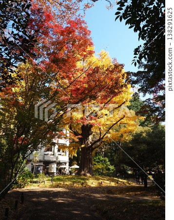 Hibiya Park Pattern Imperial Hotel Hibiya Park Pattern Imperial Hotel 138291625