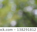 Out-of-focus background material featuring fresh greenery. 138291812