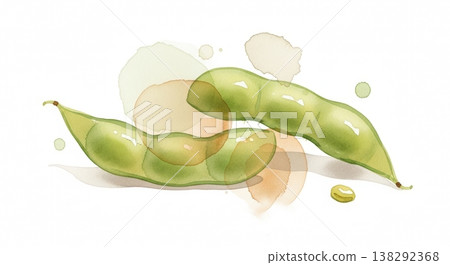 一幅柔和的水彩插畫，描繪了新鮮多汁的毛豆。天然的蔬菜材質，觸感輕柔。 138292368