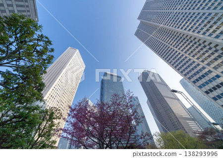 The skyscrapers of Shinjuku's sub-city center and cherry blossoms in full bloom stand tall against the clear spring sky. The skyscrapers of Shinjuku's sub-city center and cherry blossoms in full bloom stand tall against the clear spring sky. 138293996