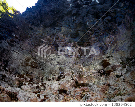 幼年絲鰭鰺在水面遊動。其他。日本伊豆半島靜岡縣南伊豆町中木市Hirizo海灘 - 2025，日本頂級浮潛地點之一。 138294502