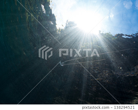 幼年絲鰭鰺在水面遊動。其他。日本伊豆半島靜岡縣南伊豆町中木市Hirizo海灘 - 2025，日本頂級浮潛地點之一。 138294521