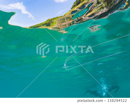 幼年絲鰭鰺在水面遊動。其他。日本伊豆半島靜岡縣南伊豆町中木市Hirizo海灘 - 2025，日本頂級浮潛地點之一。 138294522