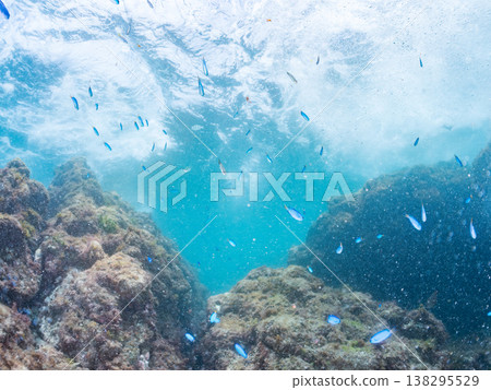在Hirizo海灘可以找到金魚、藍花魚、黃尾鯛、大眼雀鯛、海鞭魚以及其他魚類。 在Hirizo海灘可以找到金魚、藍花魚、黃尾鯛、大眼雀鯛、海鞭魚以及其他魚類。 138295529