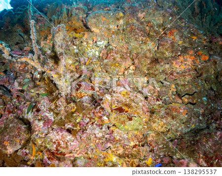 在Hirizo海灘可以找到金魚、藍花魚、黃尾鯛、大眼雀鯛、海鞭魚以及其他魚類。 在Hirizo海灘可以找到金魚、藍花魚、黃尾鯛、大眼雀鯛、海鞭魚以及其他魚類。 138295537
