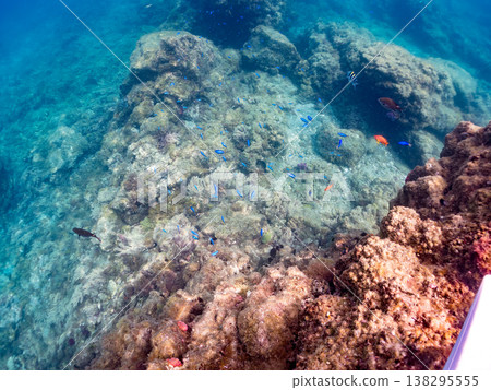在Hirizo海灘可以找到金魚、藍花魚、黃尾鯛、大眼雀鯛、海鞭魚以及其他魚類。 138295555