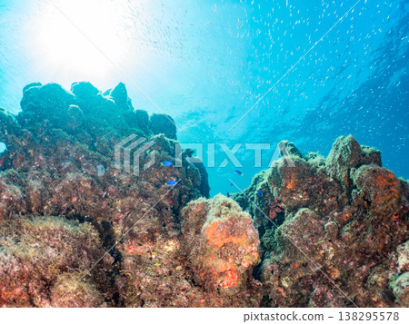 在Hirizo海灘可以找到金魚、藍花魚、黃尾鯛、大眼雀鯛、海鞭魚以及其他魚類。 在Hirizo海灘可以找到金魚、藍花魚、黃尾鯛、大眼雀鯛、海鞭魚以及其他魚類。 138295578